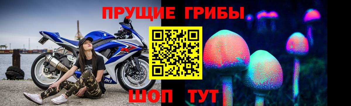 Галлюциногенные грибы прущие грибы  Вход с VPN  Черкесск 